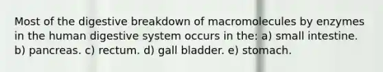 Most of the digestive breakdown of macromolecules by enzymes in the human digestive system occurs in the: a) small intestine. b) pancreas. c) rectum. d) gall bladder. e) stomach.