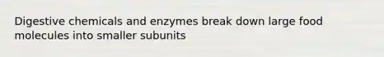 Digestive chemicals and enzymes break down large food molecules into smaller subunits