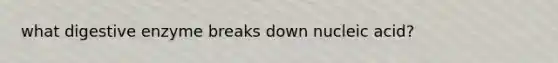 what digestive enzyme breaks down nucleic acid?