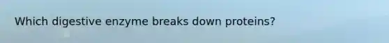 Which digestive enzyme breaks down proteins?