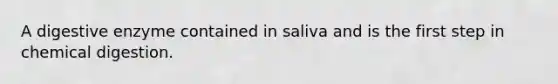 A digestive enzyme contained in saliva and is the first step in chemical digestion.