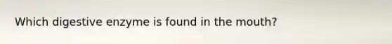 Which digestive enzyme is found in <a href='https://www.questionai.com/knowledge/krBoWYDU6j-the-mouth' class='anchor-knowledge'>the mouth</a>?