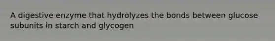 A digestive enzyme that hydrolyzes the bonds between glucose subunits in starch and glycogen