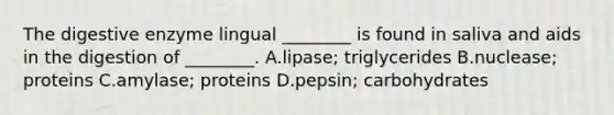 The digestive enzyme lingual ________ is found in saliva and aids in the digestion of ________. A.lipase; triglycerides B.nuclease; proteins C.amylase; proteins D.pepsin; carbohydrates