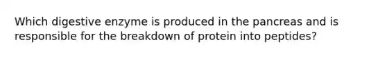 Which digestive enzyme is produced in the pancreas and is responsible for the breakdown of protein into peptides?