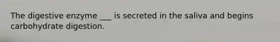 The digestive enzyme ___ is secreted in the saliva and begins carbohydrate digestion.