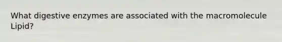 What digestive enzymes are associated with the macromolecule Lipid?