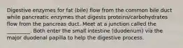 Digestive enzymes for fat (bile) flow from the common bile duct while pancreatic enzymes that digests proteins/carbohydrates flow from the pancreas duct. Meet at a junction called the _________. Both enter the small intestine (duodenum) via the major duodenal papilla to help the digestive process.