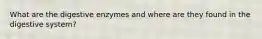 What are the digestive enzymes and where are they found in the digestive system?