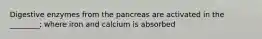 Digestive enzymes from the pancreas are activated in the ________; where iron and calcium is absorbed