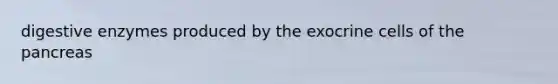 digestive enzymes produced by the exocrine cells of the pancreas