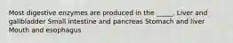 Most digestive enzymes are produced in the _____. Liver and gallbladder Small intestine and pancreas Stomach and liver Mouth and esophagus