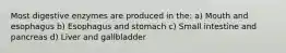 Most digestive enzymes are produced in the: a) Mouth and esophagus b) Esophagus and stomach c) Small intestine and pancreas d) Liver and gallbladder