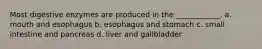 Most digestive enzymes are produced in the ____________. a. mouth and esophagus b. esophagus and stomach c. small intestine and pancreas d. liver and gallbladder