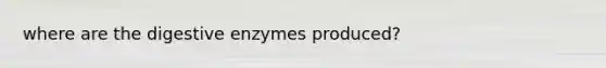 where are the digestive enzymes produced?