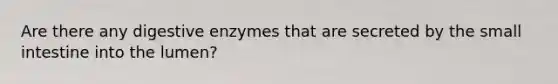 Are there any <a href='https://www.questionai.com/knowledge/kK14poSlmL-digestive-enzymes' class='anchor-knowledge'>digestive enzymes</a> that are secreted by <a href='https://www.questionai.com/knowledge/kt623fh5xn-the-small-intestine' class='anchor-knowledge'>the small intestine</a> into the lumen?