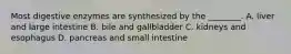 Most digestive enzymes are synthesized by the ________. A. liver and large intestine B. bile and gallbladder C. kidneys and esophagus D. pancreas and small intestine