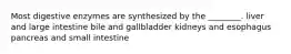 Most digestive enzymes are synthesized by the ________. liver and large intestine bile and gallbladder kidneys and esophagus pancreas and small intestine