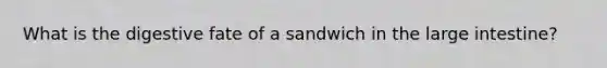 What is the digestive fate of a sandwich in the large intestine?