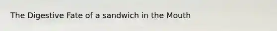 The Digestive Fate of a sandwich in the Mouth