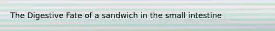 The Digestive Fate of a sandwich in the small intestine