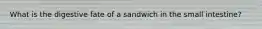 What is the digestive fate of a sandwich in the small intestine?