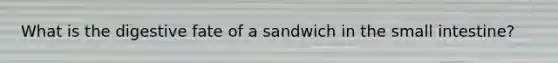 What is the digestive fate of a sandwich in the small intestine?