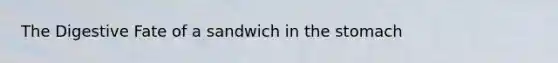 The Digestive Fate of a sandwich in the stomach