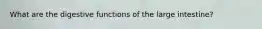 What are the digestive functions of the large intestine?