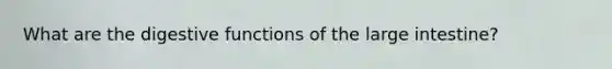 What are the digestive functions of the large intestine?