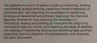 The digestive functions of saliva include a) moistening, binding and building up food particles; beginning chemical digestion of carbohydrates; and cleansing the esophagus b) moistening, binding and dissolving food particles; beginning the chemical digestion of proteins; and cleansing the esophagus c) moistening, binding and building up food particles; beginning mechanical digestion of fats; and cleansing the teeth d) drooling and spitting e) moistening, binding and dissolving food particles; beginning chemical digestion of carbohydrates; and cleansing the teeth and mouth