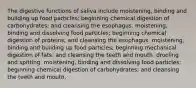 The digestive functions of saliva include moistening, binding and building up food particles; beginning chemical digestion of carbohydrates; and cleansing the esophagus. moistening, binding and dissolving food particles; beginning chemical digestion of proteins; and cleansing the esophagus. moistening, binding and building up food particles; beginning mechanical digestion of fats; and cleansing the teeth and mouth. drooling and spitting. moistening, binding and dissolving food particles; beginning chemical digestion of carbohydrates; and cleansing the teeth and mouth.