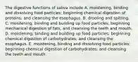 The digestive functions of saliva include A. moistening, binding and dissolving food particles; beginning chemical digestion of proteins; and cleansing the esophagus. B. drooling and spitting. C. moistening, binding and building up food particles; beginning mechanical digestion of fats; and cleansing the teeth and mouth. D. moistening, binding and building up food particles; beginning chemical digestion of carbohydrates; and cleansing the esophagus. E. moistening, binding and dissolving food particles; beginning chemical digestion of carbohydrates; and cleansing the teeth and mouth.