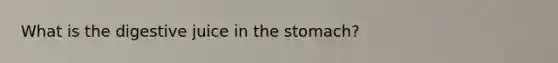 What is the digestive juice in the stomach?