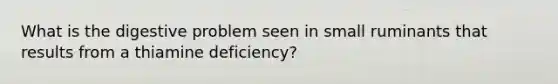 What is the digestive problem seen in small ruminants that results from a thiamine deficiency?