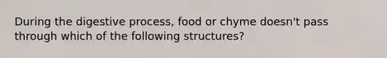 During the digestive process, food or chyme doesn't pass through which of the following structures?