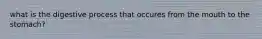 what is the digestive process that occures from the mouth to the stomach?