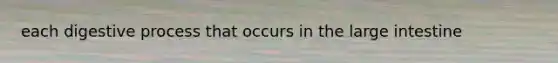 each digestive process that occurs in the <a href='https://www.questionai.com/knowledge/kGQjby07OK-large-intestine' class='anchor-knowledge'>large intestine</a>