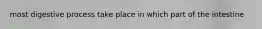most digestive process take place in which part of the intestine
