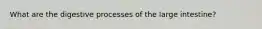 What are the digestive processes of the large intestine?