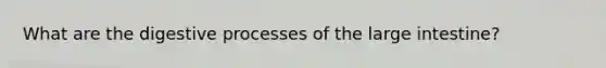 What are the digestive processes of the large intestine?