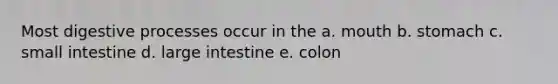 Most digestive processes occur in the a. mouth b. stomach c. small intestine d. large intestine e. colon