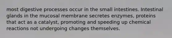most digestive processes occur in <a href='https://www.questionai.com/knowledge/kt623fh5xn-the-small-intestine' class='anchor-knowledge'>the small intestine</a>s. Intestinal glands in the mucosal membrane secretes enzymes, proteins that act as a catalyst, promoting and speeding up <a href='https://www.questionai.com/knowledge/kc6NTom4Ep-chemical-reactions' class='anchor-knowledge'>chemical reactions</a> not undergoing changes themselves.