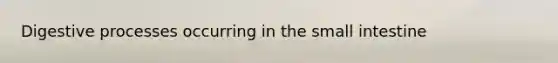 Digestive processes occurring in the small intestine