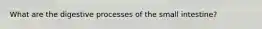 What are the digestive processes of the small intestine?