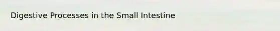 Digestive Processes in the Small Intestine