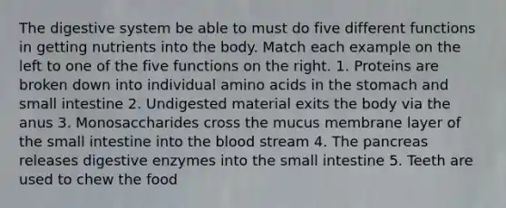 The digestive system be able to must do five different functions in getting nutrients into the body. Match each example on the left to one of the five functions on the right. 1. Proteins are broken down into individual amino acids in <a href='https://www.questionai.com/knowledge/kLccSGjkt8-the-stomach' class='anchor-knowledge'>the stomach</a> and small intestine 2. Undigested material exits the body via the anus 3. Monosaccharides cross the mucus membrane layer of the small intestine into <a href='https://www.questionai.com/knowledge/k7oXMfj7lk-the-blood' class='anchor-knowledge'>the blood</a> stream 4. The pancreas releases <a href='https://www.questionai.com/knowledge/kK14poSlmL-digestive-enzymes' class='anchor-knowledge'>digestive enzymes</a> into the small intestine 5. Teeth are used to chew the food