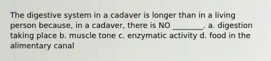 The digestive system in a cadaver is longer than in a living person because, in a cadaver, there is NO ________. a. digestion taking place b. muscle tone c. enzymatic activity d. food in the alimentary canal