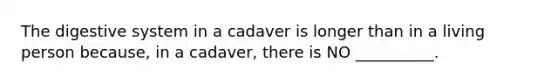 The digestive system in a cadaver is longer than in a living person because, in a cadaver, there is NO __________.