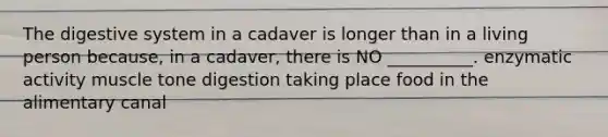 The digestive system in a cadaver is longer than in a living person because, in a cadaver, there is NO __________. enzymatic activity muscle tone digestion taking place food in the alimentary canal